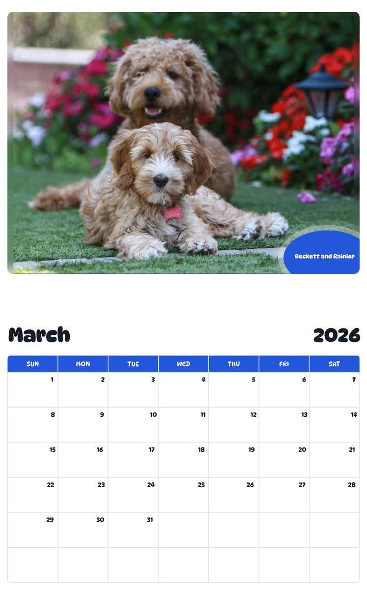 November 2025 - October 2026 Beckett and Rainier - Pawidols Pet Calendar
