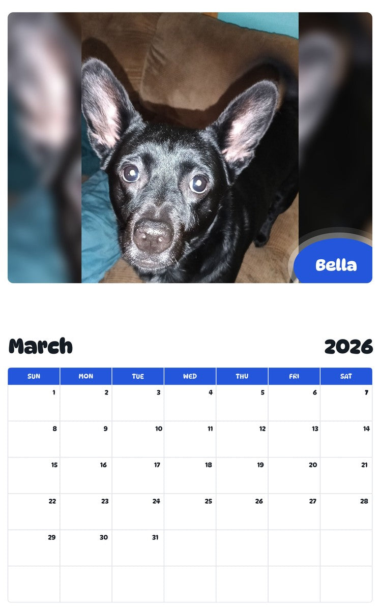 November 2025 - October 2026 Bella - Pawidols Pet Calendar
