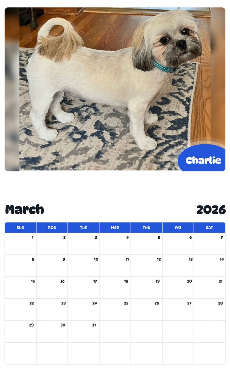 November 2025 - October 2026 Charlie - Pawidols Pet Calendar