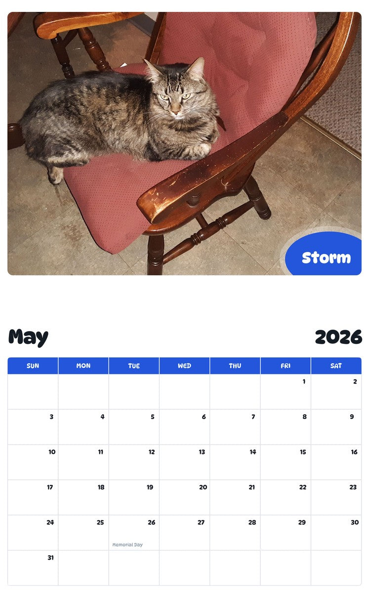 2026 - 2027 Storm - Pawidols Pet Calendar