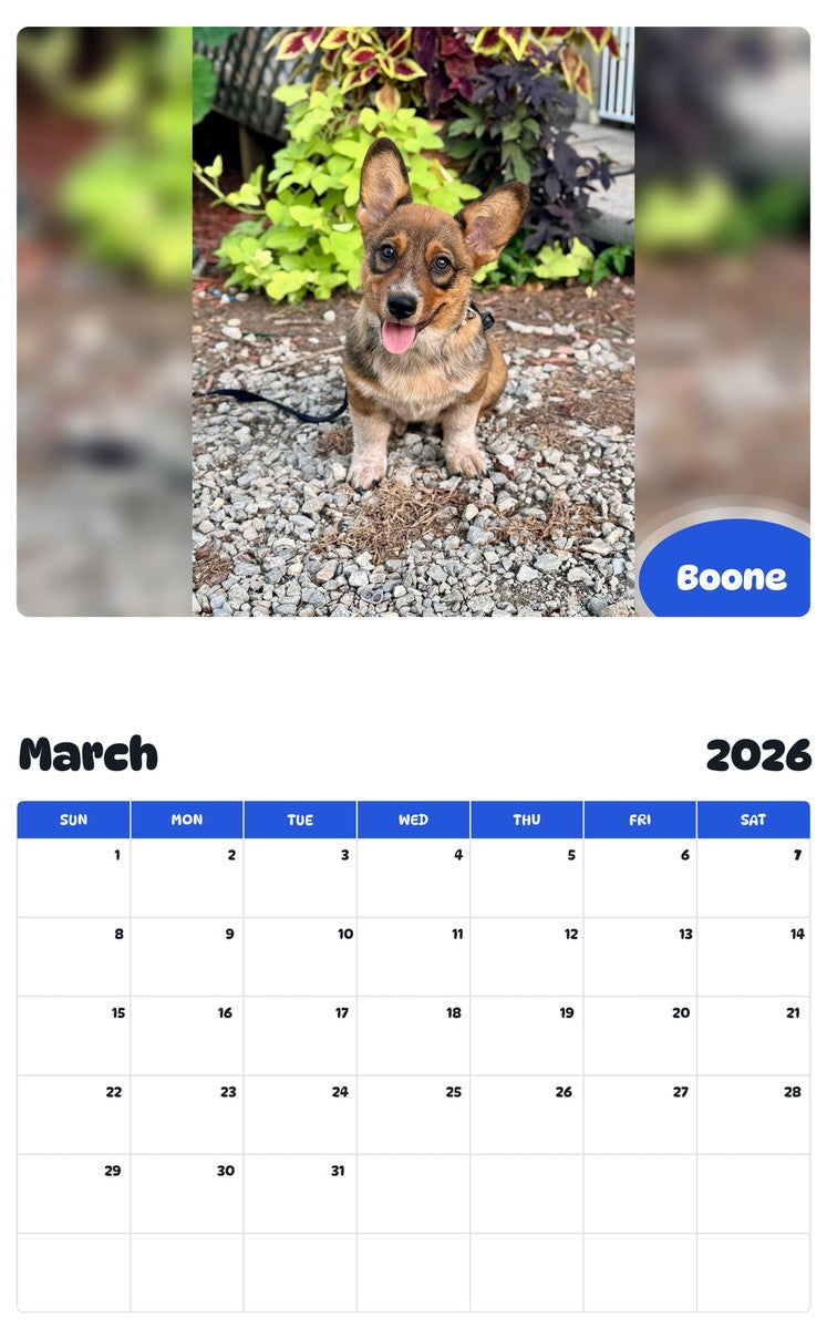 November 2025 - October 2026 Boone - Pawidols Pet Calendar