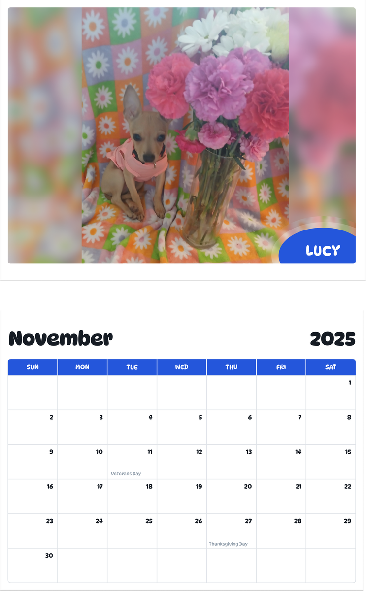 July 2025 - June 2026 Lucy - Pawidols Pet Calendar