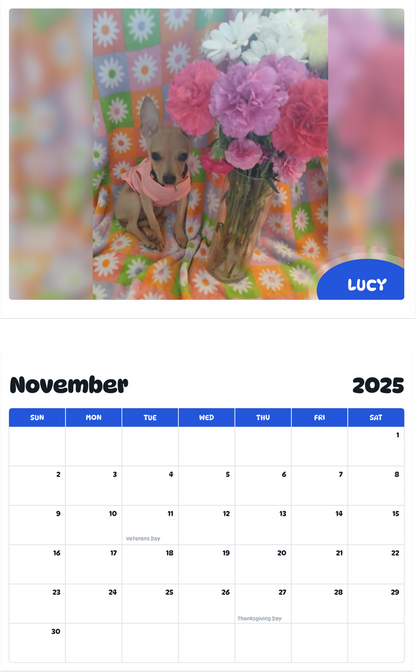 July 2025 - June 2026 Lucy - Pawidols Pet Calendar
