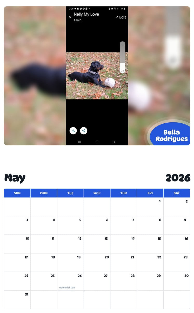 2026 - 2027 Bella Rodrigues - Pawidols Pet Calendar