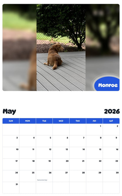 2026 - 2027 Monroe - Pawidols Pet Calendar