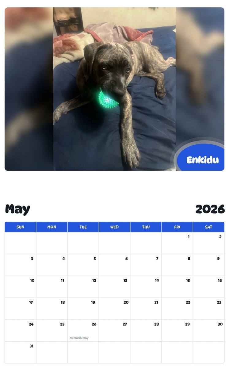 2026 - 2027 Enkidu - Pawidols Pet Calendar