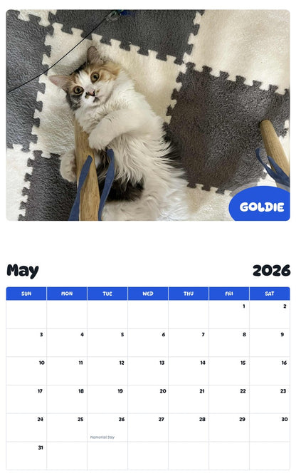 2026 - 2027 GOLDIE - Pawidols Pet Calendar