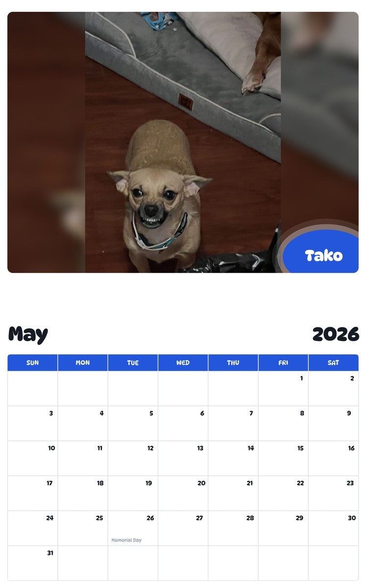 2026 - 2027 Tako - Pawidols Pet Calendar