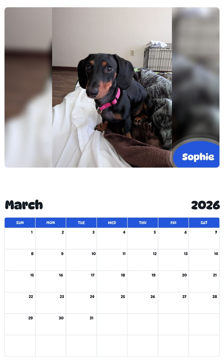 November 2025 - October 2026 Sophie - Pawidols Pet Calendar