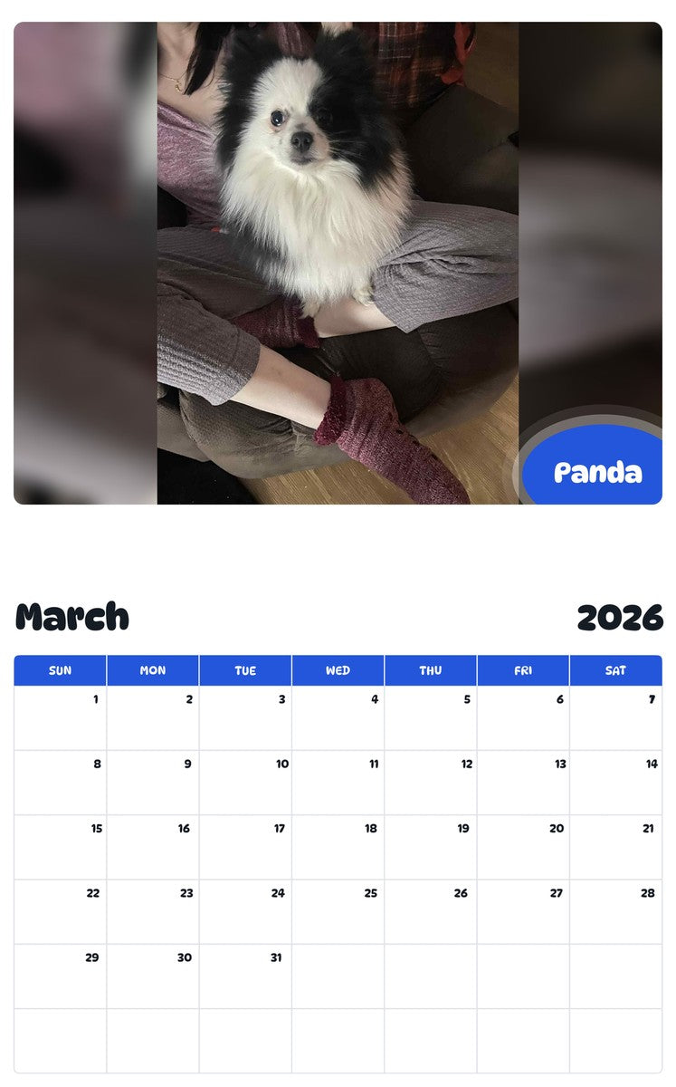 November 2025 - October 2026 Panda - Pawidols Pet Calendar
