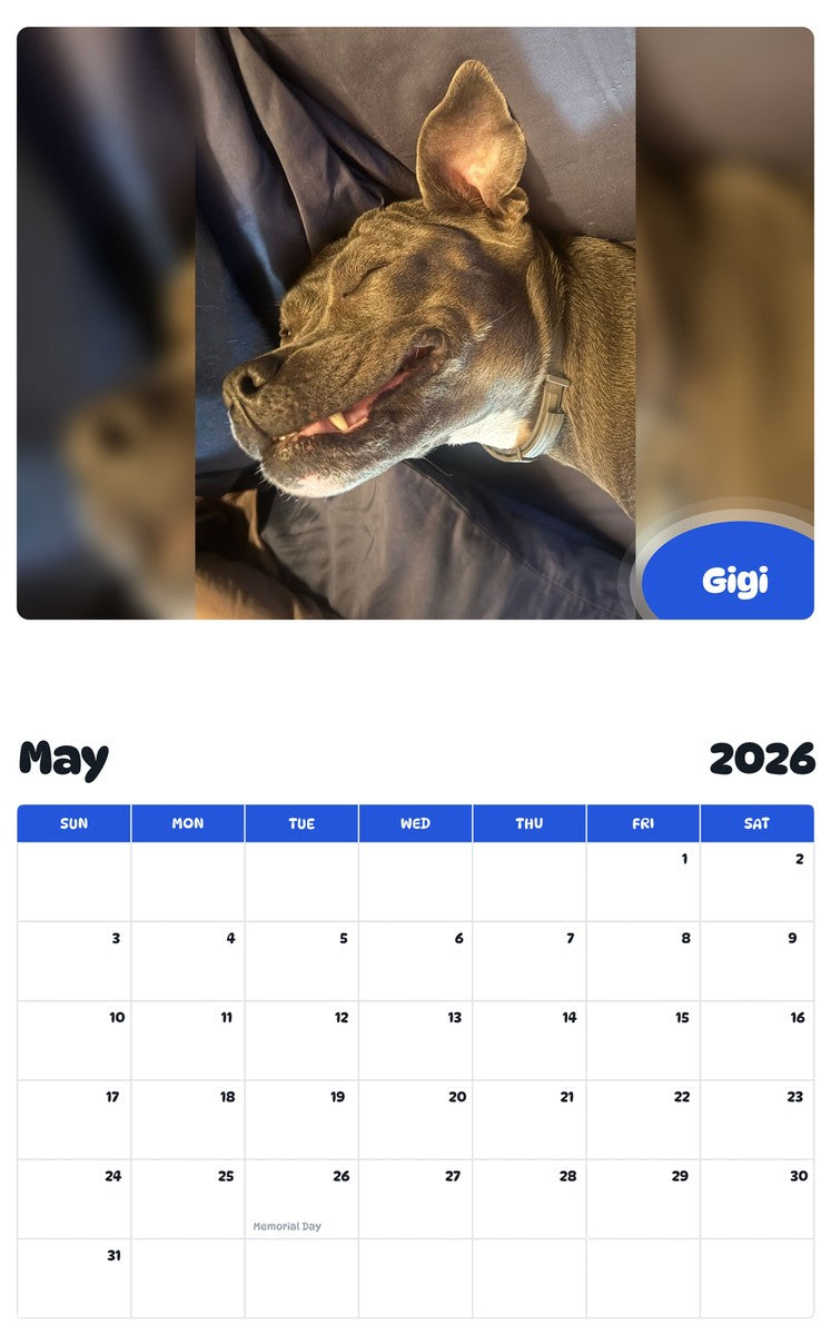 2026 - 2027 Gigi - Pawidols Pet Calendar