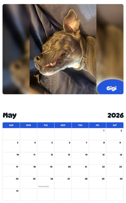 2026 - 2027 Gigi - Pawidols Pet Calendar