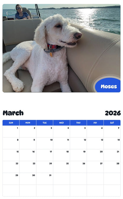 November 2025 - October 2026 Moses - Pawidols Pet Calendar