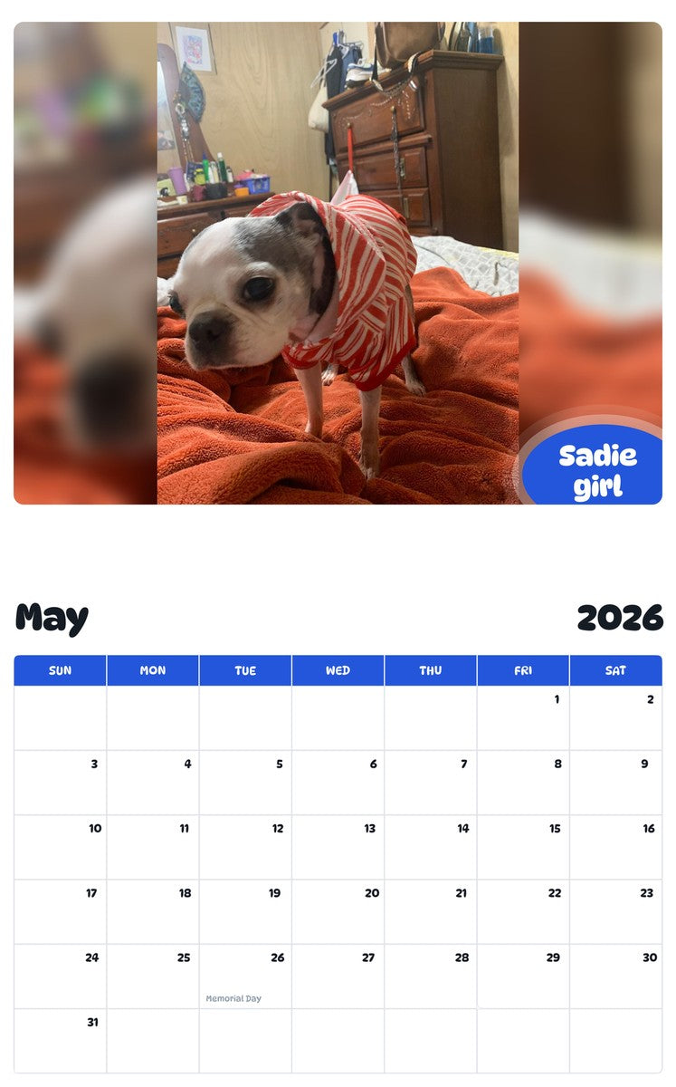 2026 - 2027 Sadie girl - Pawidols Pet Calendar