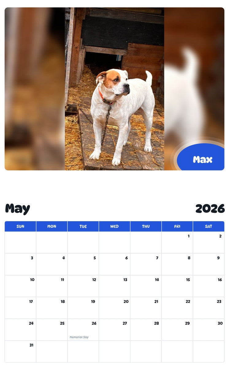 2026 - 2027 Max - Pawidols Pet Calendar