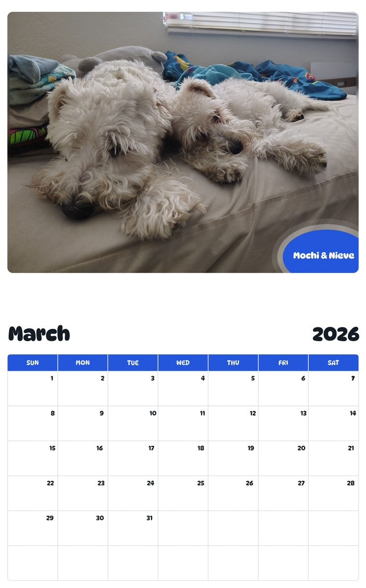 November 2025 - October 2026 Mochi & Nieve - Pawidols Pet Calendar