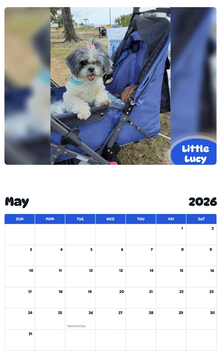 2026 - 2027 Little Lucy - Pawidols Pet Calendar