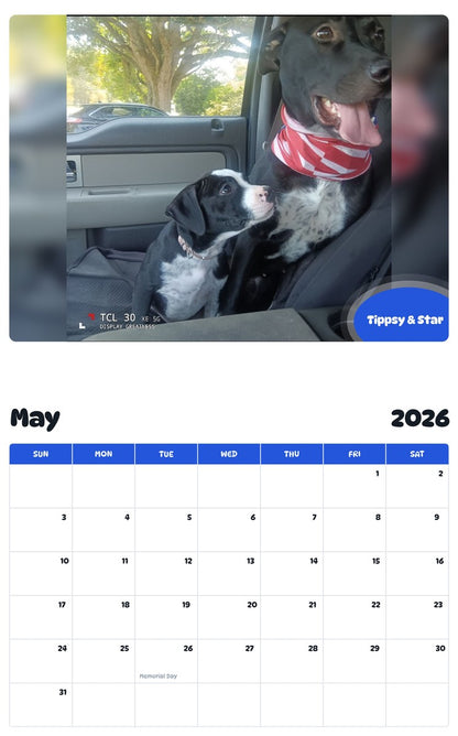 2026 - 2027 Tippsy & Star - Pawidols Pet Calendar