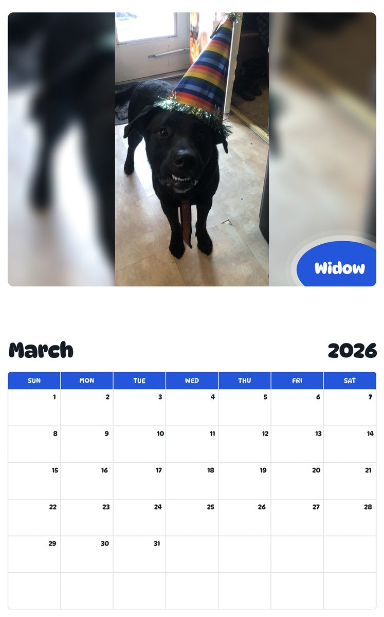 November 2025 - October 2026 Widow - Pawidols Pet Calendar