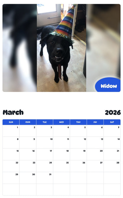 November 2025 - October 2026 Widow - Pawidols Pet Calendar