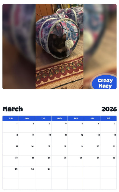 November 2025 - October 2026 Crazy Mazy - Pawidols Pet Calendar