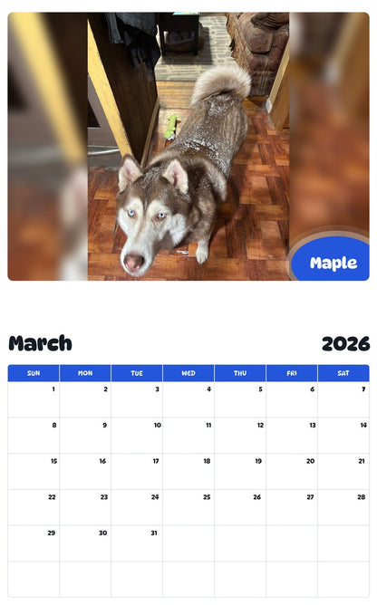 November 2025 - October 2026 Maple - Pawidols Pet Calendar
