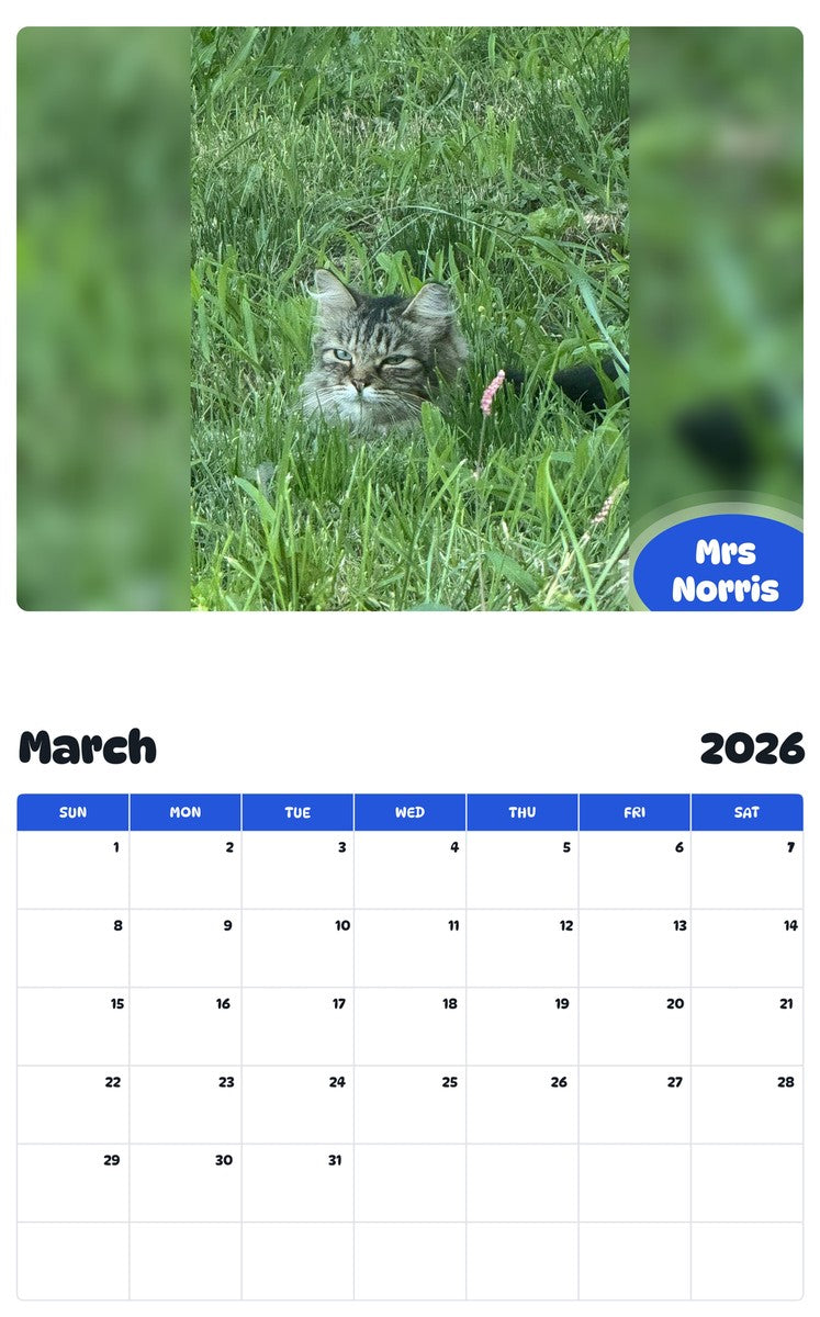 November 2025 - October 2026 Mrs Norris - Pawidols Pet Calendar