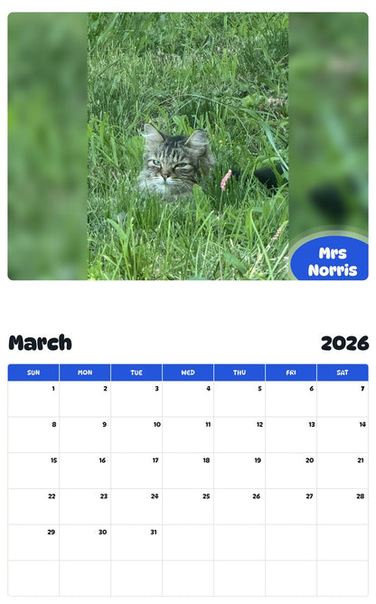 November 2025 - October 2026 Mrs Norris - Pawidols Pet Calendar