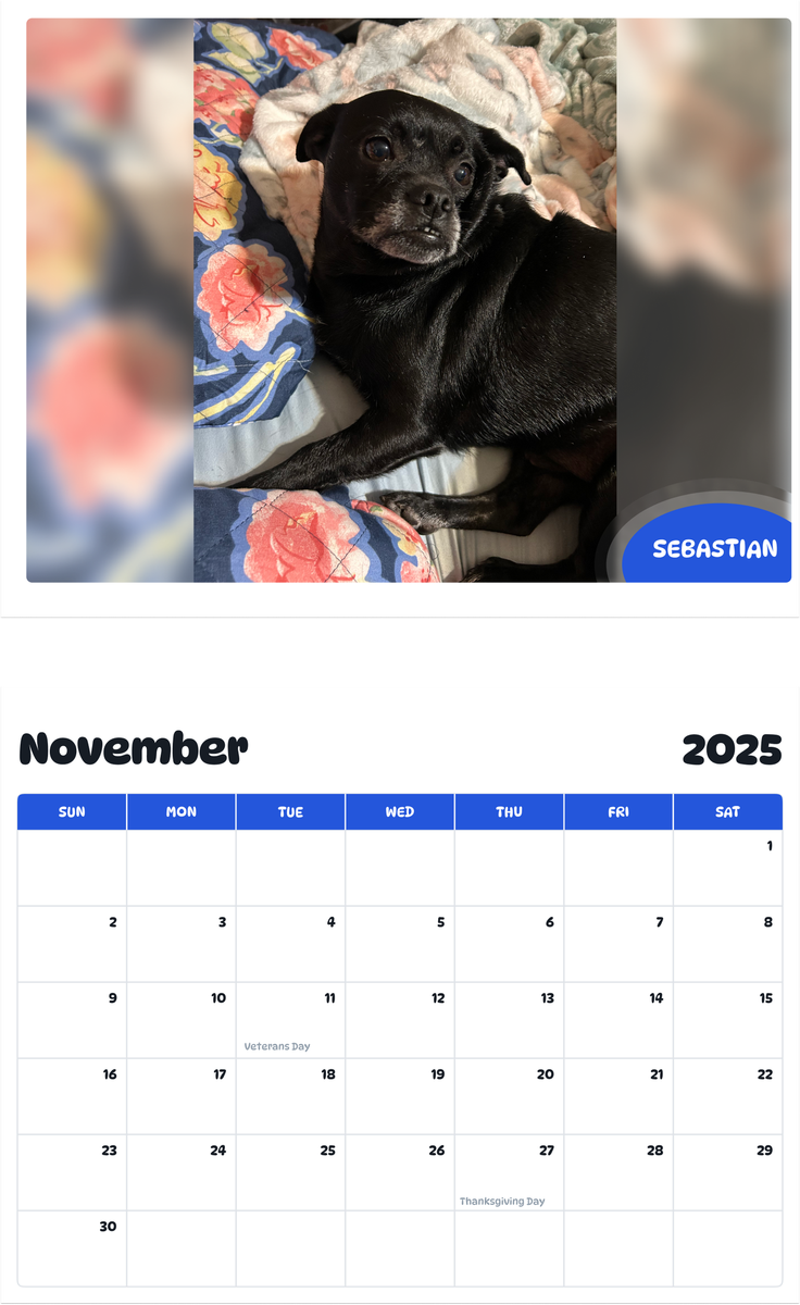 July 2025 - June 2026 Sebastian - Pawidols Pet Calendar
