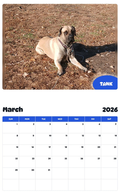 November 2025 - October 2026 TANK - Pawidols Pet Calendar