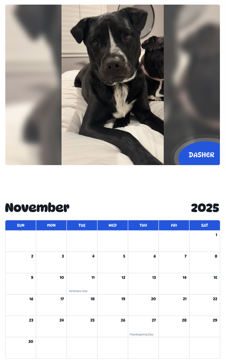 July 2025 - June 2026 Dasher - Pawidols Pet Calendar