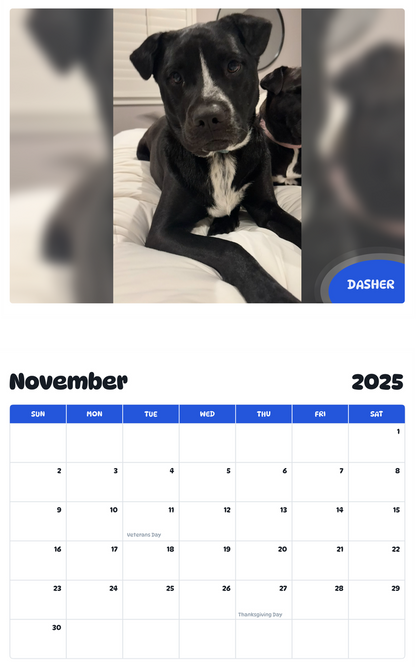 July 2025 - June 2026 Dasher - Pawidols Pet Calendar