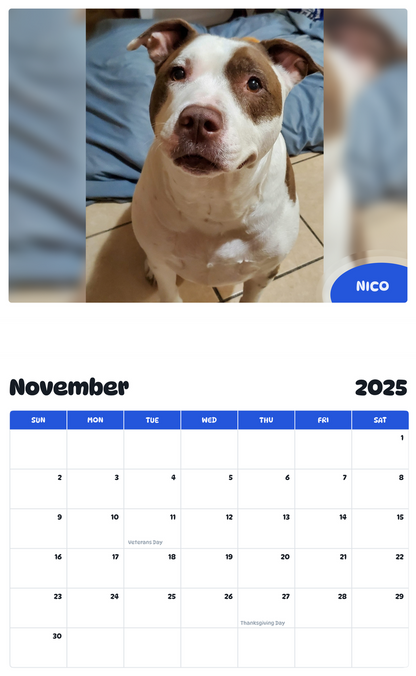 July 2025 - June 2026 Nico - Pawidols Pet Calendar