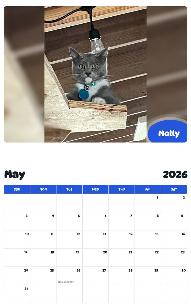 2026 - 2027 Molly - Pawidols Pet Calendar