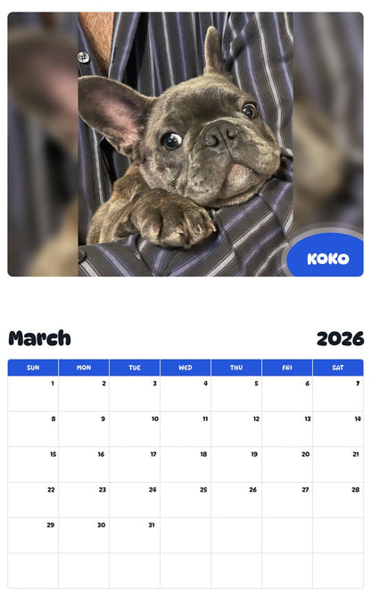 November 2025 - October 2026 KOKO - Pawidols Pet Calendar