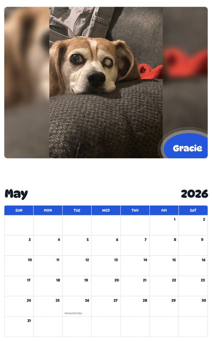 2026 - 2027 Gracie - Pawidols Pet Calendar