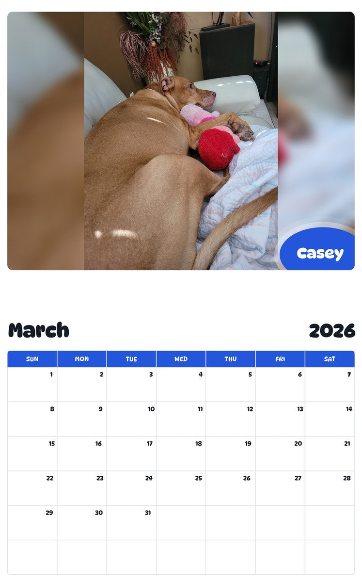November 2025 - October 2026 Casey - Pawidols Pet Calendar