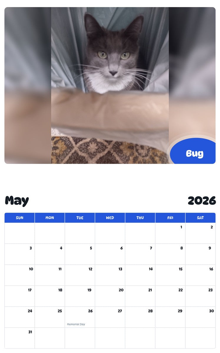 2026 - 2027 Bug - Pawidols Pet Calendar