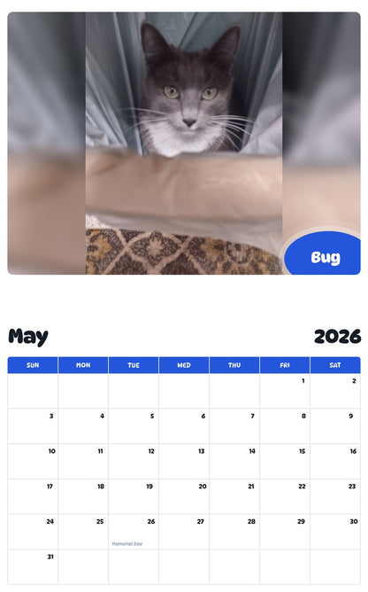 2026 - 2027 Bug - Pawidols Pet Calendar