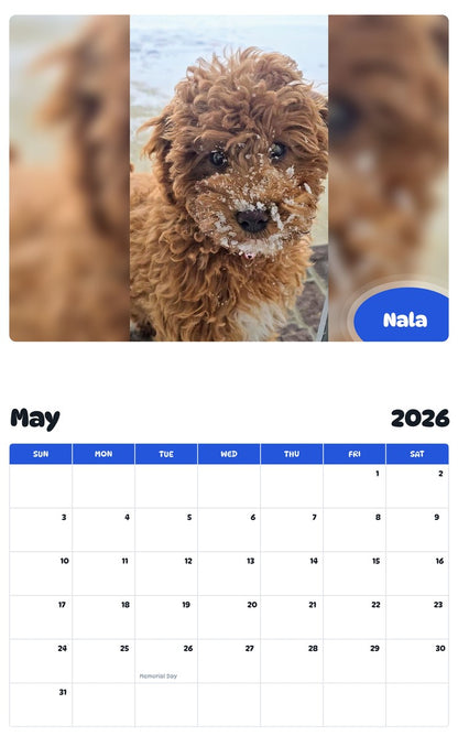 2026 - 2027 Nala - Pawidols Pet Calendar