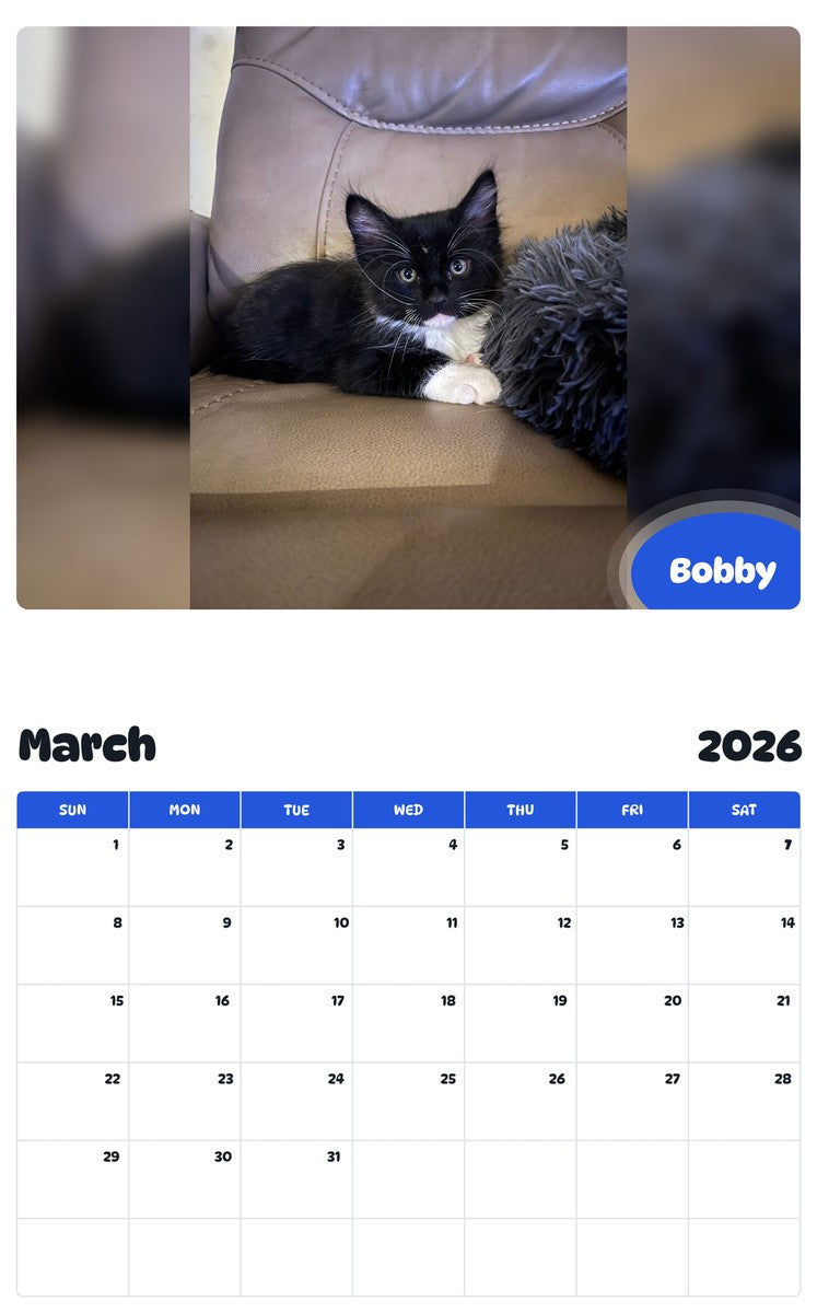 November 2025 - October 2026 Bobby - Pawidols Pet Calendar