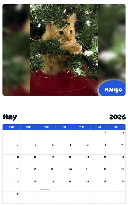 2026 - 2027 Mango - Pawidols Pet Calendar