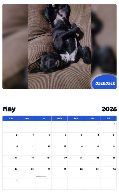 2026 - 2027 JackJack - Pawidols Pet Calendar