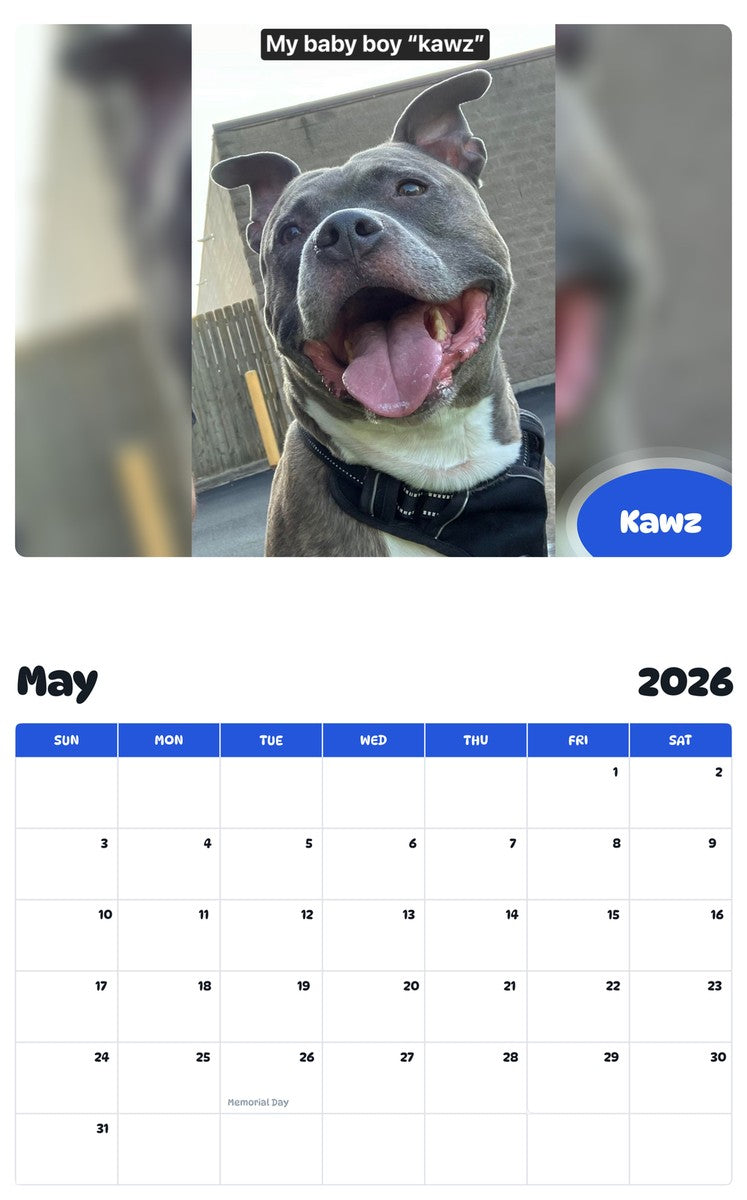 2026 - 2027 Kawz - Pawidols Pet Calendar
