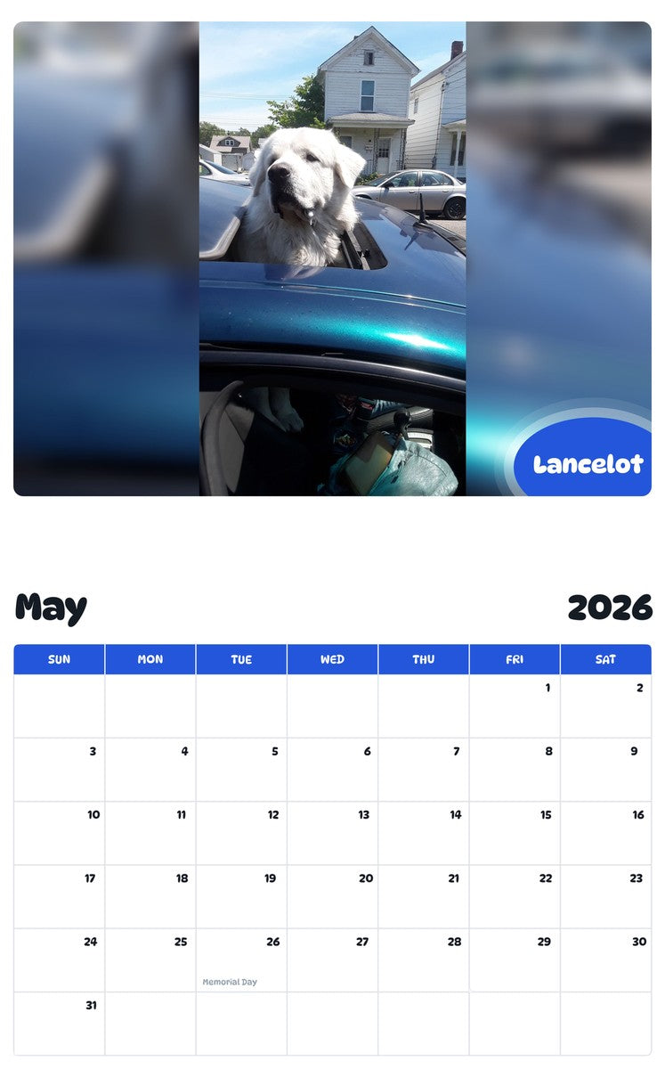 2026 - 2027 Lancelot - Pawidols Pet Calendar
