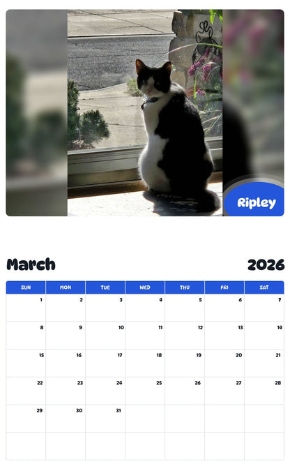 November 2025 - October 2026 Ripley - Pawidols Pet Calendar