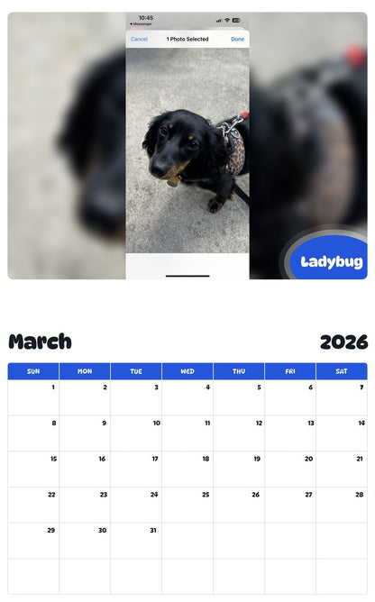 November 2025 - October 2026 Ladybug - Pawidols Pet Calendar