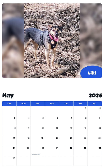 2026 - 2027 Lilli - Pawidols Pet Calendar
