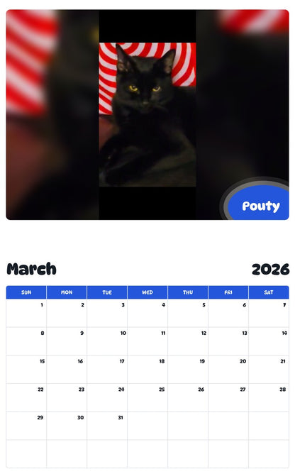 November 2025 - October 2026 Pouty - Pawidols Pet Calendar