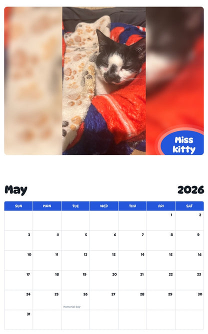 2026 - 2027 Miss kitty - Pawidols Pet Calendar